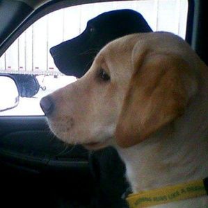 Meet your Posher, Amy